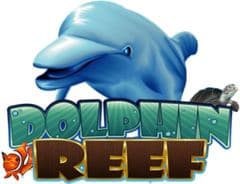 Dolphin Reef
