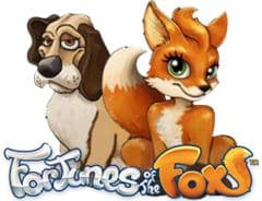 Fortune Of The Fox