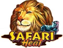 Safari Heat