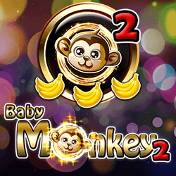 babymonkey2