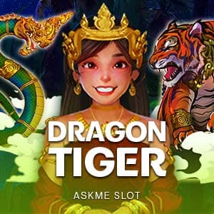 Dragon VS Tiger