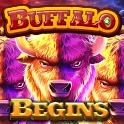 Buffalo Begins