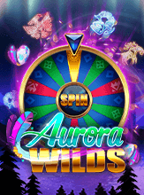 Aurora Wilds