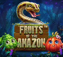 Fruits of the Amazon