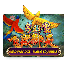 Bird Paradise