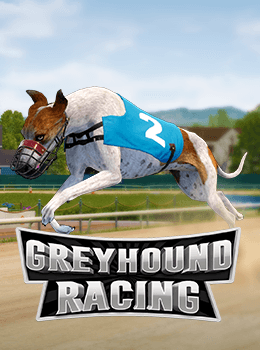Greyhound Racing