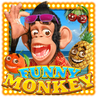 Funny Monkey