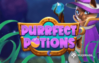 Purrfect Potions
