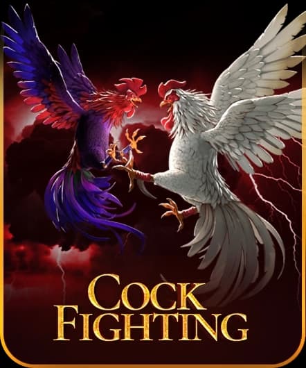 Cockfight