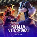 Ninja vs Samurai