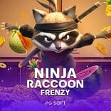 Ninja Raccoon Frenzy