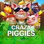 Three Crazy Piggies